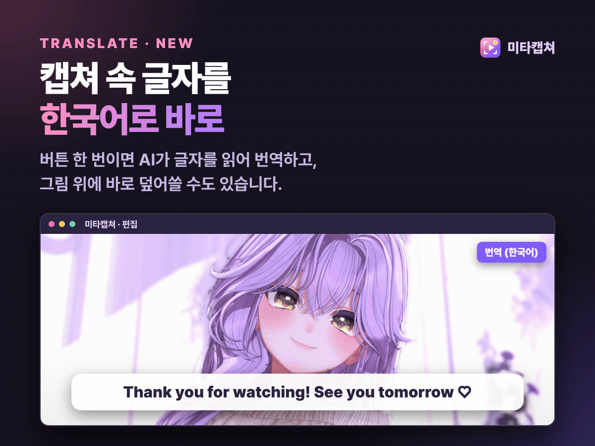 캡쳐 속 글자 번역